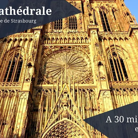 Le Zénith - Parking Privé&wifi - 5 Min Zénith De * Strasburgo